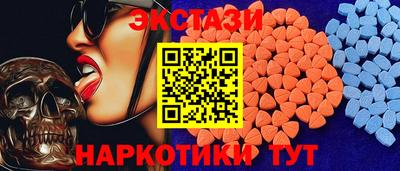 шишки Тара
