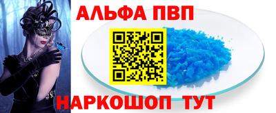 шишки Тара