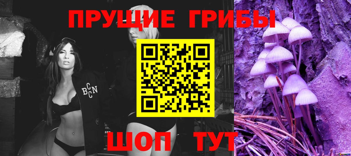 Галлюциногенные грибы Psilocybe  Вход с VPN  даркнет сайт  Балашов 