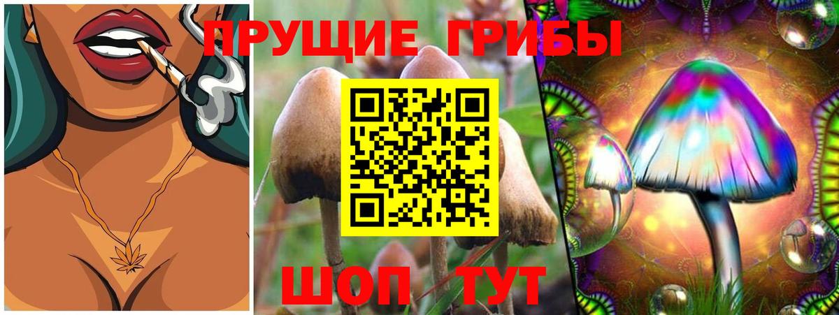 Галлюциногенные грибы Cubensis Балашов
